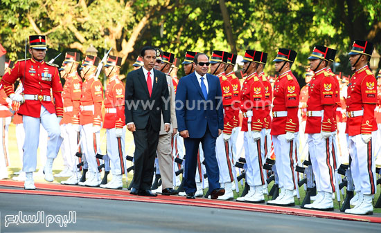 اليوم السابع -9 -2015